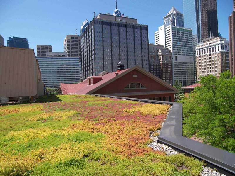 paysagiste-ST CEZAIRE SUR SIAGNE-min_green-roof-portfolio-4